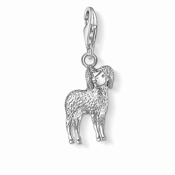 Thomas Sabo | Charm - Zilver