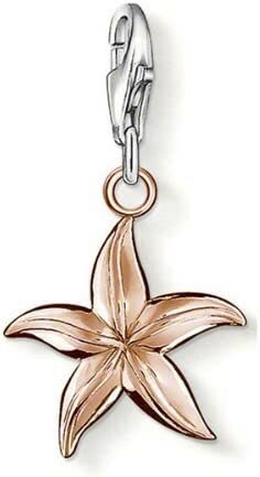 Thomas Sabo | Charm - Zilver