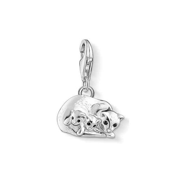 Thomas Sabo | Charm - Zilver