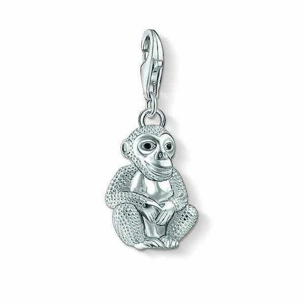 Thomas Sabo | Charm - Zilver