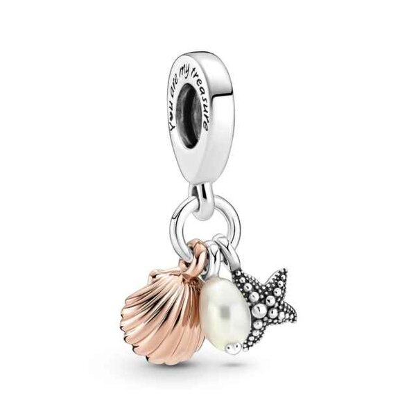 Pandora | Charm - Zilver