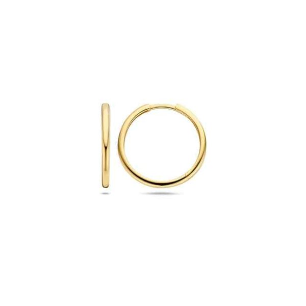 Blush | Oorbellen - Goud 14kt