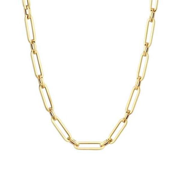 Blush | Ketting - Goud 14kt