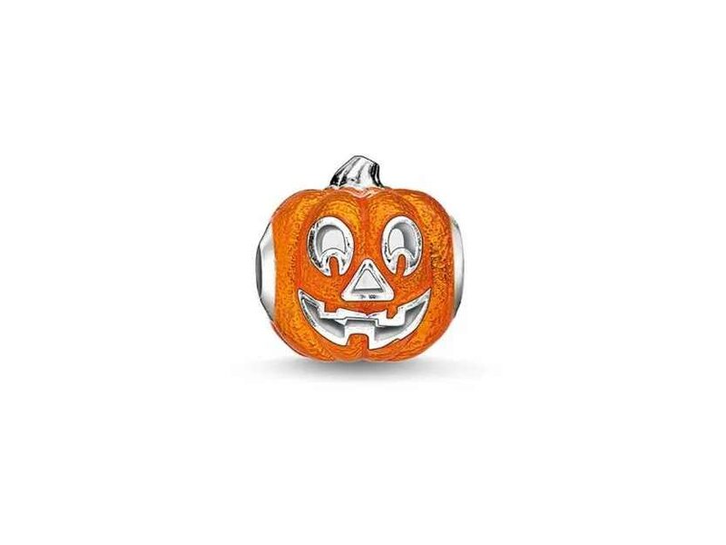 Thomas Sabo | Charm - Zilver