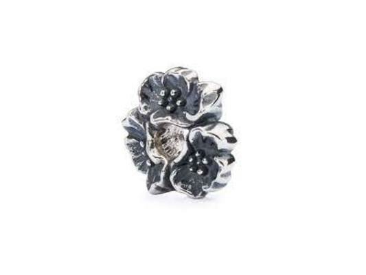 Trollbeads | Charm - Zilver