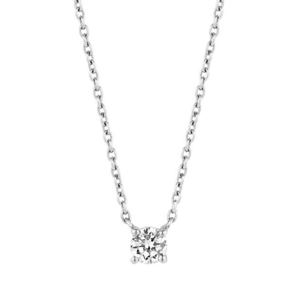 Ti Sento | Ketting - Zilver Ti Sento | Ketting - Zilver