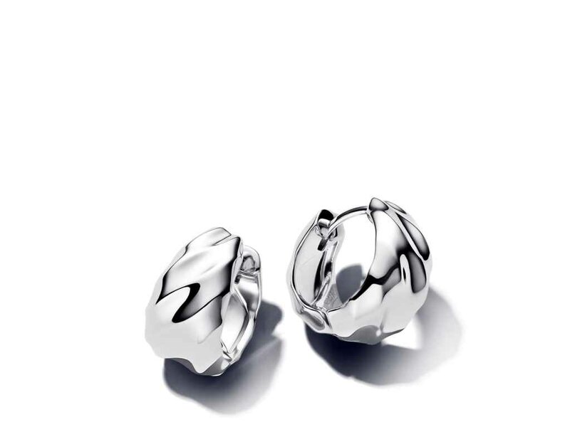 Pandora | Oorbellen - Zilver Pandora | Oorbellen - Zilver