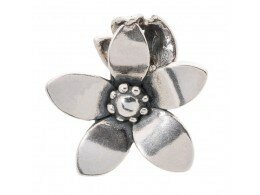 Trollbeads | Charm - Zilver